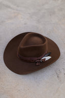 Yellowstone in Brown