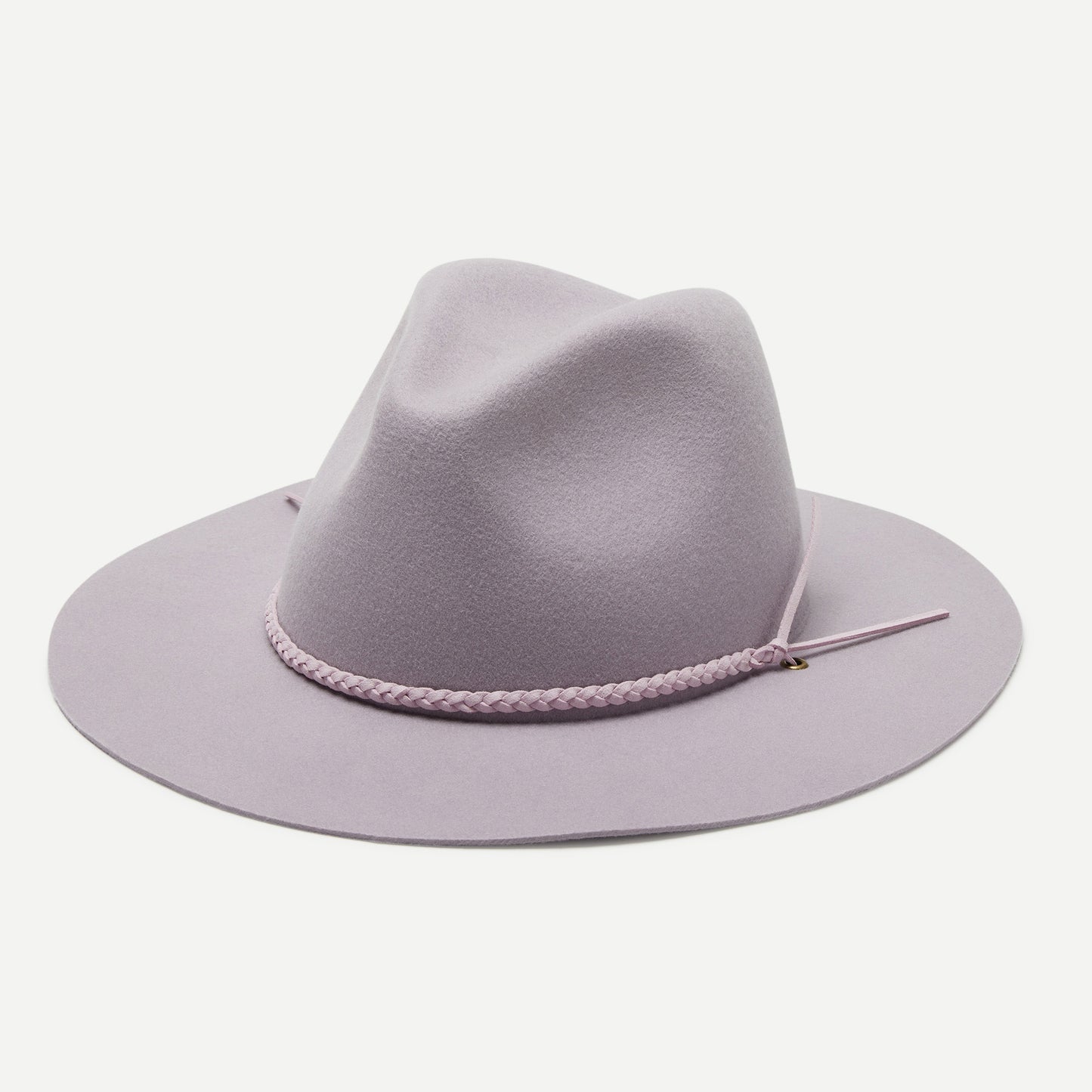 Morgan in Lilac
