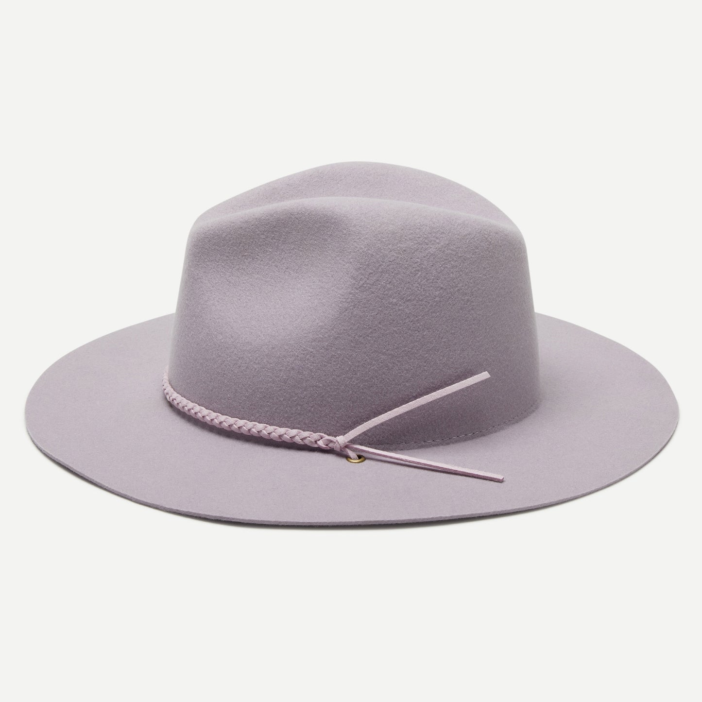 Morgan in Lilac