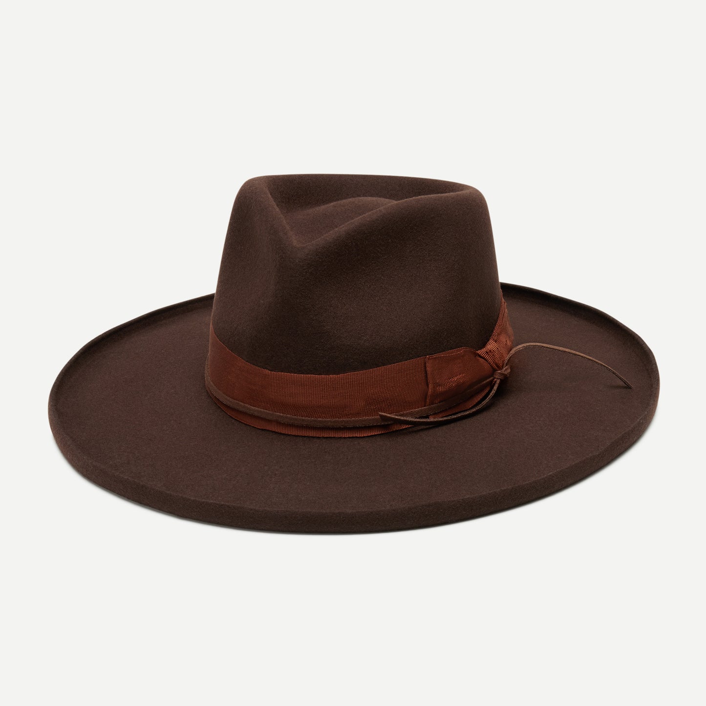 Delaney in Brown