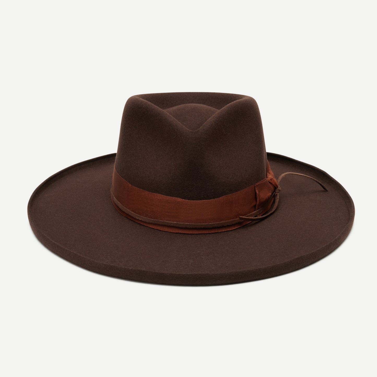 Delaney in Brown