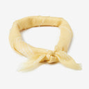 Peters in Yellow