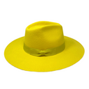 Penny in Yellow