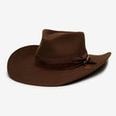 Yellowstone in Brown