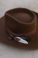 Yellowstone in Brown