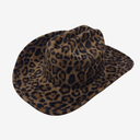 McGraw in Leopard